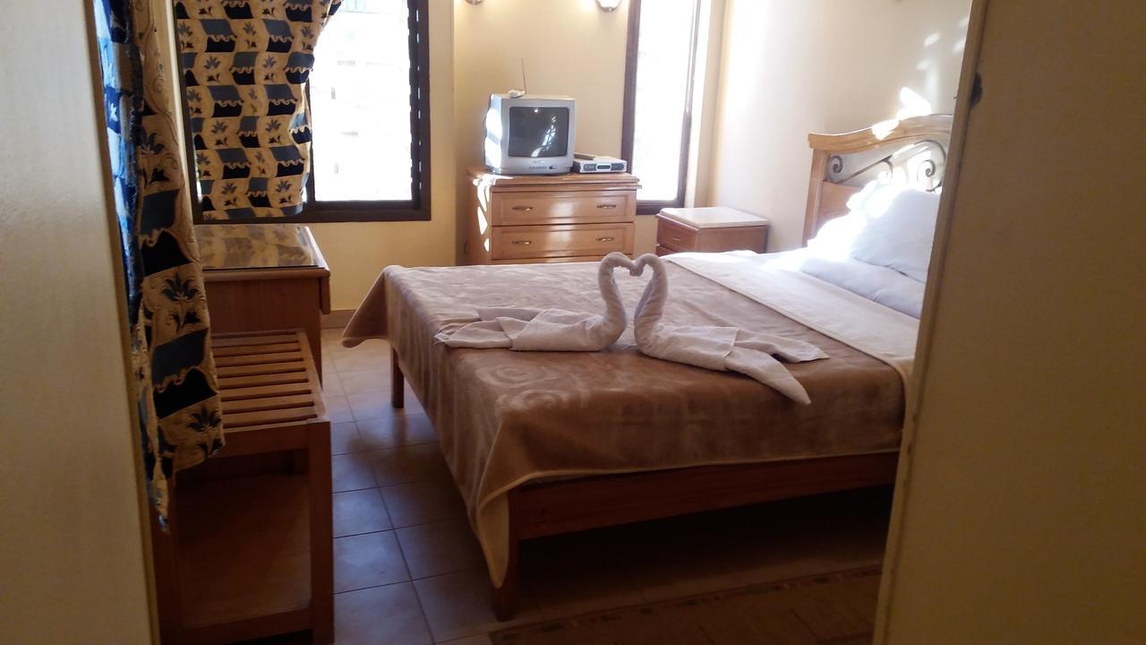 אבו סימבל Applicators Hotel מראה חיצוני תמונה